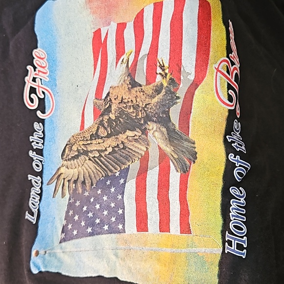 Lg USA Eagle Flag LAND OF THE FREE HOME OF THE BRAVE - Picture 2 of 4